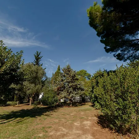 D'hotes Bed and breakfast Saint-Cyprien (Pyrenees-Orientales)