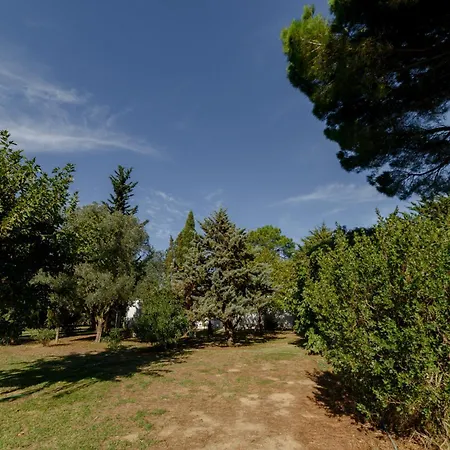 Bed & Breakfast D'hotes 3*